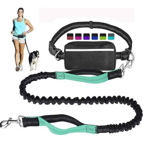 Laisse mains libres pour chiens, absorption des chocs, confortable, coutures réfléchissantes, idéale pour la course, le jogging et la marche. (1/3)