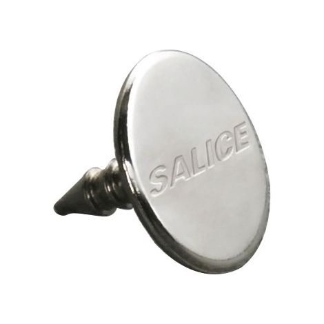 Gâche acier à pointer - Fixation : A pointer - Décor : Zingué - Diamètre : 11,5 mm - Matériau : Acier - SALICE