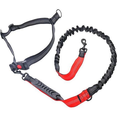 Corde de traction en nylon pour chien (1/3)