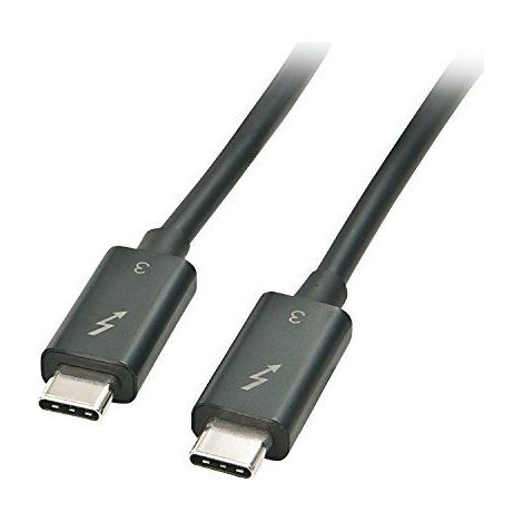LINDY USB-Kabel USB 3.2 Gen1 (USB 3.0 / USB 3.1 Gen1) USB-C® Stecker, USB-C® Stecker 0.50 m Schwarz (1/3)