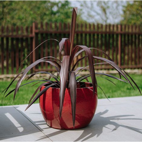Pot grande taille d'extérieur ROMULUS 42x30cm rouge tropical, fait main en terre cuite émaillée, résistant au gel (1/5)