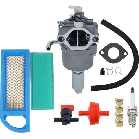 594593 Carburateur pour 796109, 590400, 796078, 498811, 794161 – 13.5 CV (1/5)