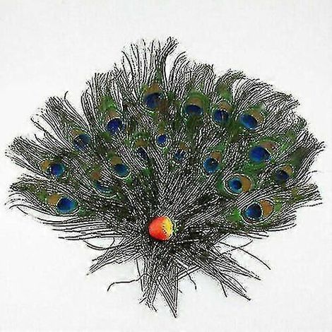 100 natürliche Pfauenschwanzfedern (25-30 cm) für DIY-Blumenstraußdekoration - 20 Stück (1/4)