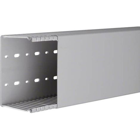 Tehalit Verdrahtungskanal BA6 80120B gr 2 Stk