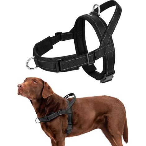 Harnais pour Chien, Harnais Anti-Traction pour Chiens Moyens et Grands, Harnais à Structure en T avec Éléments Réfléchissants, Harnais Doux, Noir M (1/5)