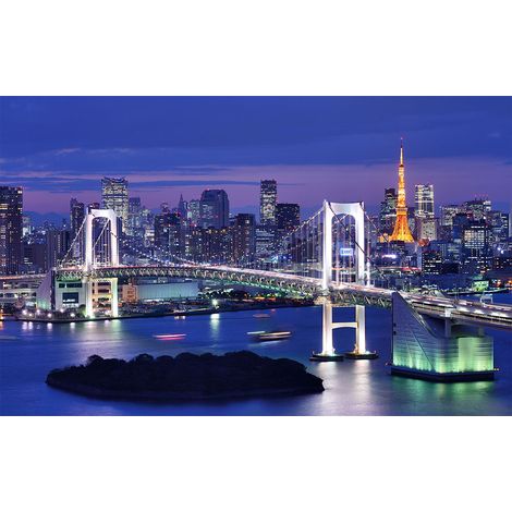 Affiche baie de tokyo - 60x40cm - made in France (1/5)