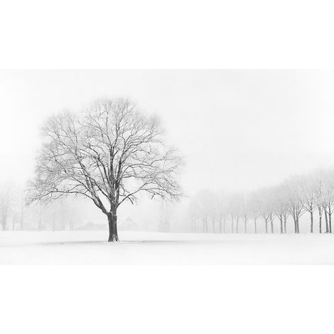 Papier peint panoramique campagne pour bureau | Tapisserie panoramique paysage hivernal originale | Papiers peints panoramique idéal pour salon - 270 x 400 cm (4 pièces) (1/2)