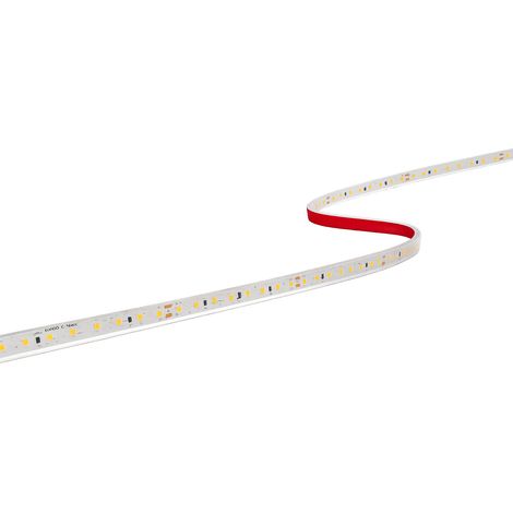 Strip led lunghezza 5m century accento pro 60w luce fredda 6000k 1500lm/m - acp568-1212860 (1/2)