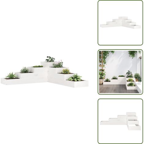 The Living Store Jardinière 4 niveaux 106x104,5x36 cm blanc bois de pin massif - Pot de fleurs (1/5)