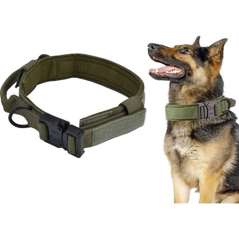 Robustes Hunde-Zughalsband mit verstellbaren Riemen und Kontrollgriff aus Nylon und Metall (1/5)