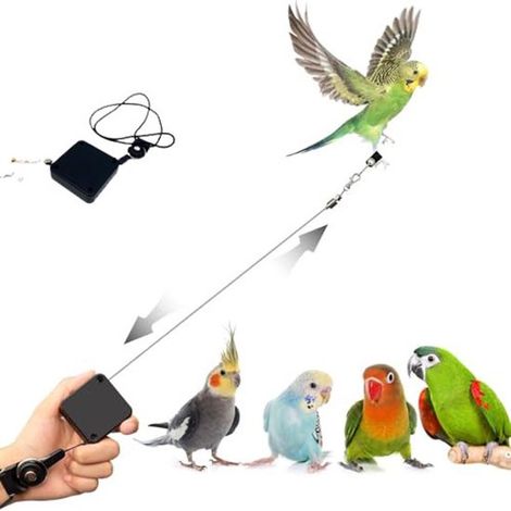 Guinzaglio estensibile per uccelli, guinzaglio per pappagalli da volo, pettorina per uccelli, guinzaglio anti-morso per pappagalli, pettorina regolabile per l'addestramento degli uccelli, anelli per l (1/5)