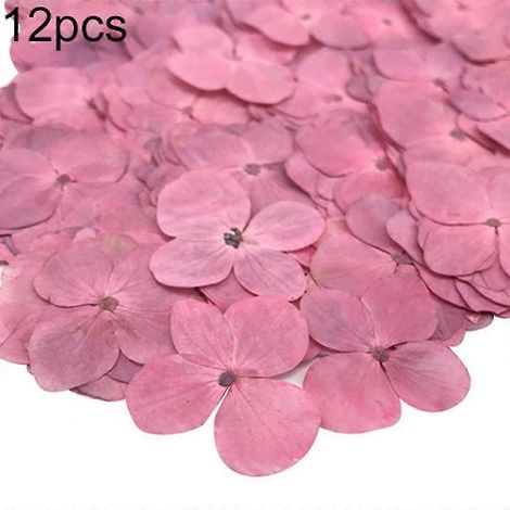 Résine époxy, lot de 12 fleurs séchées pressées à faire soi-même, accessoire de décoration pour téléphone. (1/5)