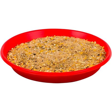Comedero para Pollitos - Plato de iniciación para crías de gallina - Ø 19 cm