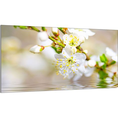 Plaque de protection en verre pour poêle 90x52 Prune (1/5)