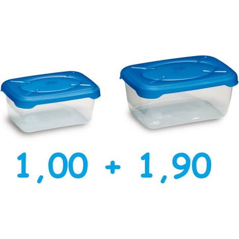 Set 2 Pezzi Frigobox Contenitore Frigobella Rettangolari 1 + 1,9 Litri