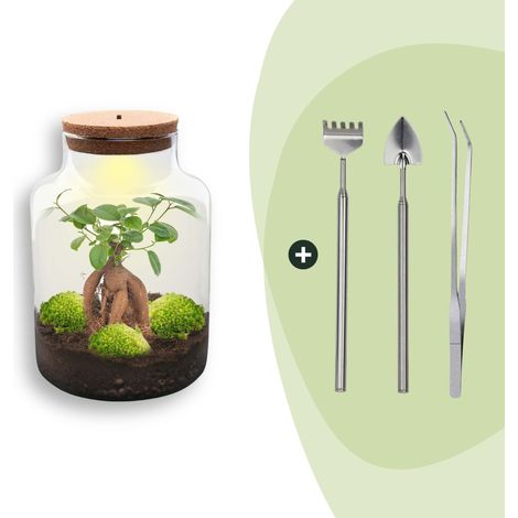 Terrarium Plante DIY avec Lumière - Kit Écosystème Autonome Milky Bonsai - Ø 21 x 30 cm - PANGIVO (1/3)