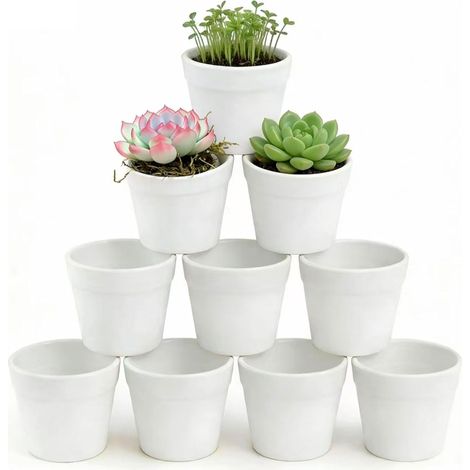 Lot de 10 petits pots de fleurs blancs - En plastique incassable - Idéal pour cactus, plantes succulentes, fleurs, herbes (diamètre 7 cm x hauteur 6 cm) (1/5)
