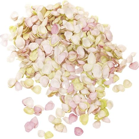 KNORR PRANDELL - DECORAZIONI DI PETALI DI ROSA 5 MM - 14 GR