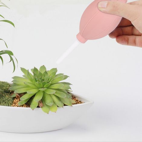 Souffleur de poussière multifonctionnel pour plantes, nettoyeur de poussière pour appareils photo, outil de nettoyage de jardin (rose) (1/5)