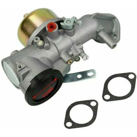 Carburateur compatible Briggs & Stratton 491026/281707/491031 12 HP – Économique et durable (1/4)