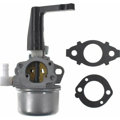 Ulisem Ersatzvergaser mit Dichtungssatz für Briggs & Stratton 696065 697422 110402-0206-E1 (1/4)
