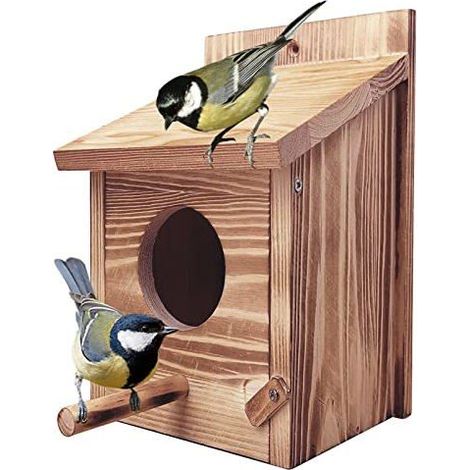 Nichoir oiseaux extérieur mésange bois verni, cabane suspendue rouge-gorge sauvage jardin durable (1/5)