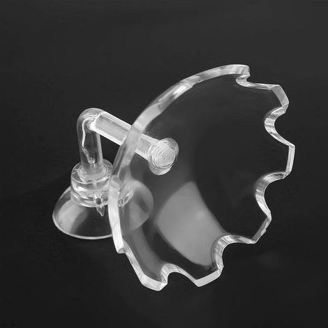 Gamelle pour crevettes, bol, gamelle pour crevettes, bol, aquarium S
