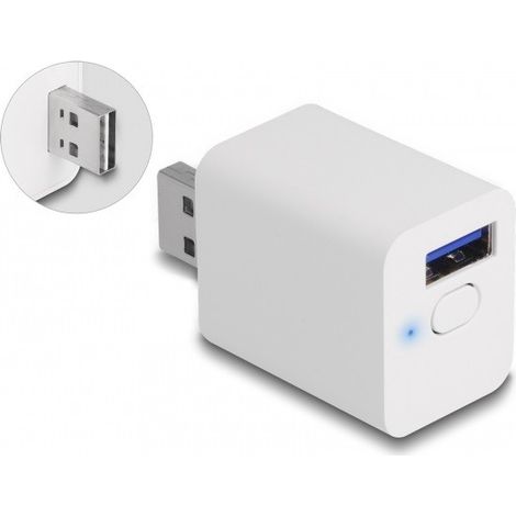 enchufe inteligente delock 11828 wifi usb 2 A (1/3)
