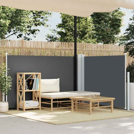 Auvent latéral rétractable Anthracite 100 x 600 cm (1/5)