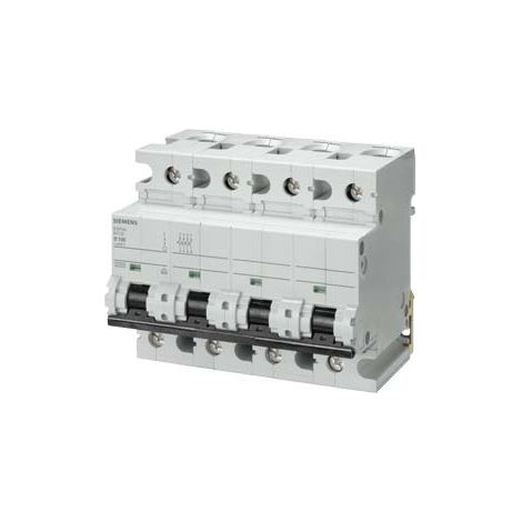 Interruttore magnetotermico 4 poli 400V 10kA curva D 100A Siemens 5SP44918