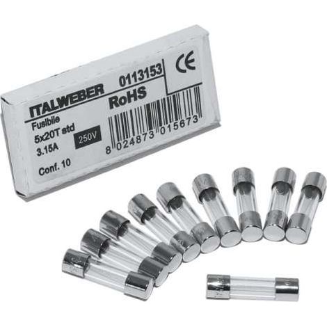 Remeha Feinsicherung 3,15AT 10 Stück S43562