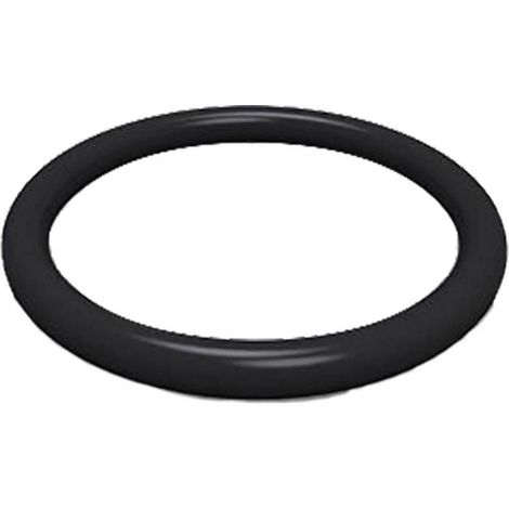 O-RING PER NIPLES M20 x 2