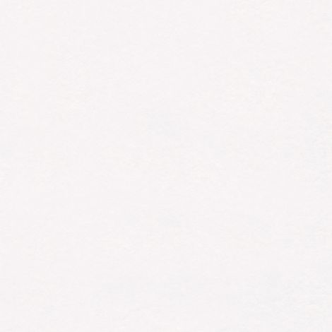 BRICOFLOR Papier peint intissé À peindre Blanc - Papier peint À peindre - 10,05 x 0,53 m (1/5)