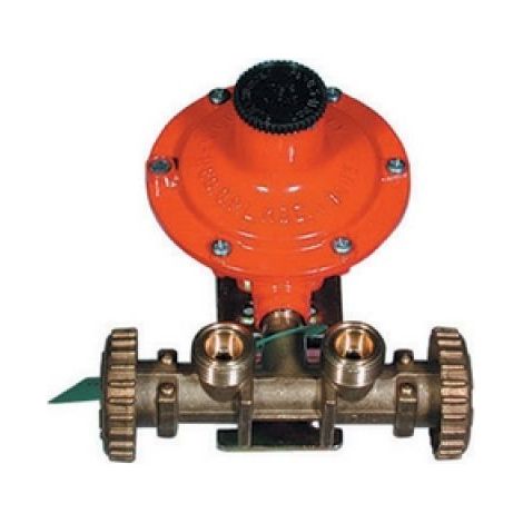 MINI-CENTRALINA CON REGOLATORE 2202 SENZA MANICHETTE kg. / h 7