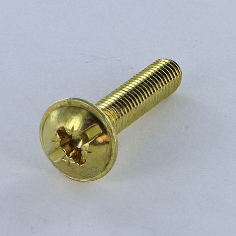 Vis Poelier POZI et fendu M6X14 Acier laitonne-1 pièce (1/3)