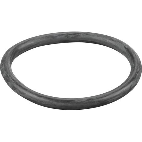 Rems O-Ring 060354