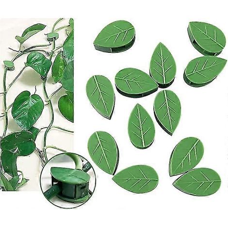 Clips de fixation pour plantes grimpantes (40 pièces), supports invisibles pour plantes potagères et grimpantes. (1/5)
