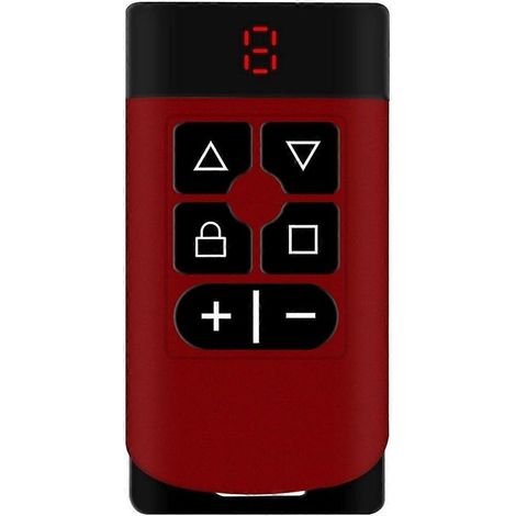 Duplicateur de télécommande de porte de garage à 6 boutons 315 MHz-868 MHz B-- (1/5)