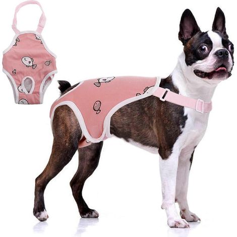 Couches hygiéniques QBLEEV pour chiennes avec bretelles réglables Culottes menstruelles réutilisables pour chiennes Combinaisons-couches pour chiens mâles (1/5)