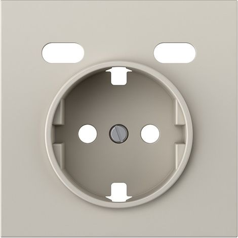 Tapa para Schuko con 2 puertos USB C acabado arena serie Simon 360 (1/5)