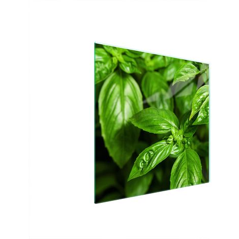PLACA PROTECTORA DE VIDRIO PARA ESTUFA 50x52 BASIL (1/5)