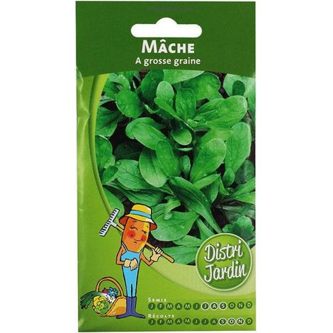 Sachet De Graines Mâche A Grosse Graines