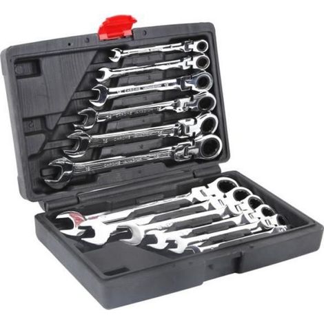 12 Pcs Coffret Clé à Cliquet Métrique 8-19mm Dent Clé Mixt Plate à Cliquet Métrique (1/3)