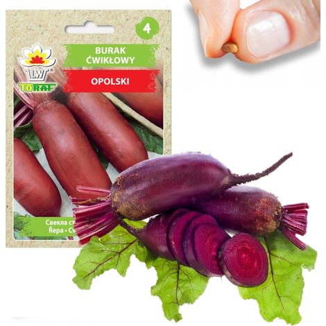 Graines de betterave W1014, betterave Opolski oblongue, légume productif, 10 g (1/3)