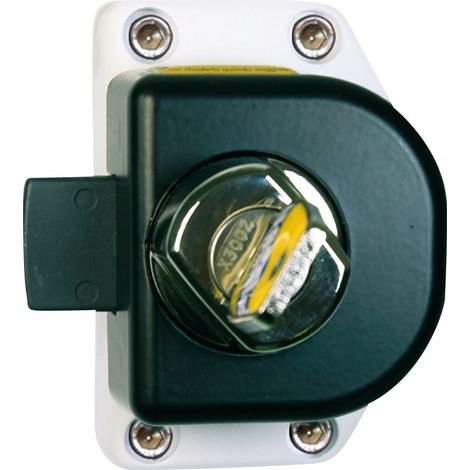 Lot de 2 : Verrous de sécurité Safe : - Verrou à clé -Master / Movano - à partir de 2010 et Daily - à partir de 2014