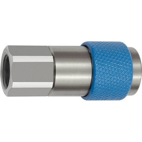 Riegler Unverwechselbare Dreh-Sicherheitskupplung NW 6, ISO 6150 C, G 3/8 IG, blau (1/3)
