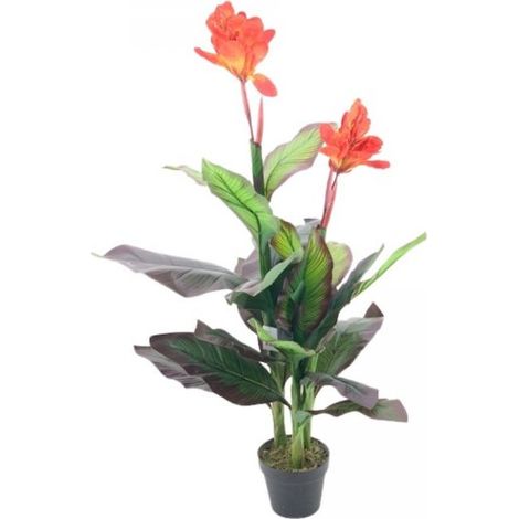 Pianta ornamentale Canna Lily con fiori arancio in vaso 115 cm.