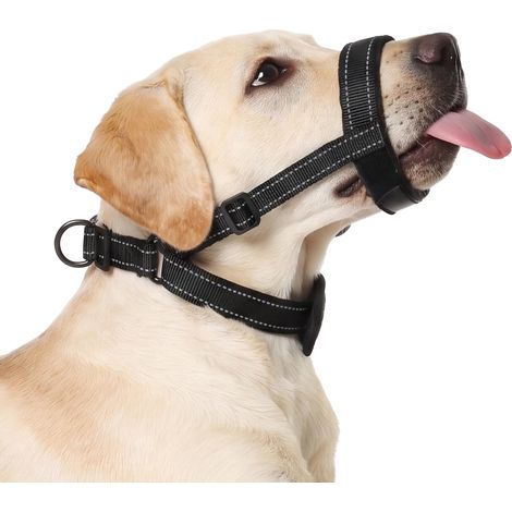 Muselière Chien 2-en-1 avec Attache Laisse Intégrée (1/5)