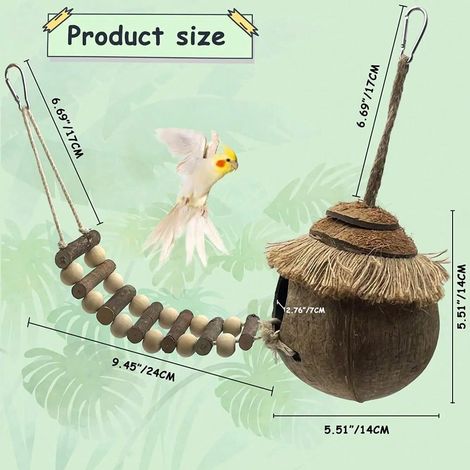 Nichoir suspendu en noix de coco avec échelle - cachette naturelle pour oiseaux en noix de coco - nichoir pour inséparables - bois d'arbre fruitier - balançoire pour perruches, calopsittes, perruches  (1/5)