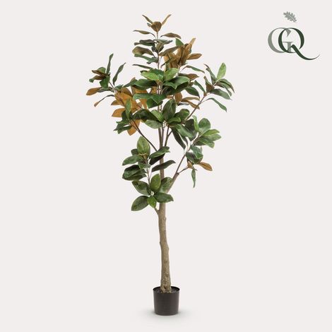 Arbre Artificiel Magnolia Grandiflora Décoration Intérieure Tronc en Bois 180 cm - PANGIVO (1/4)